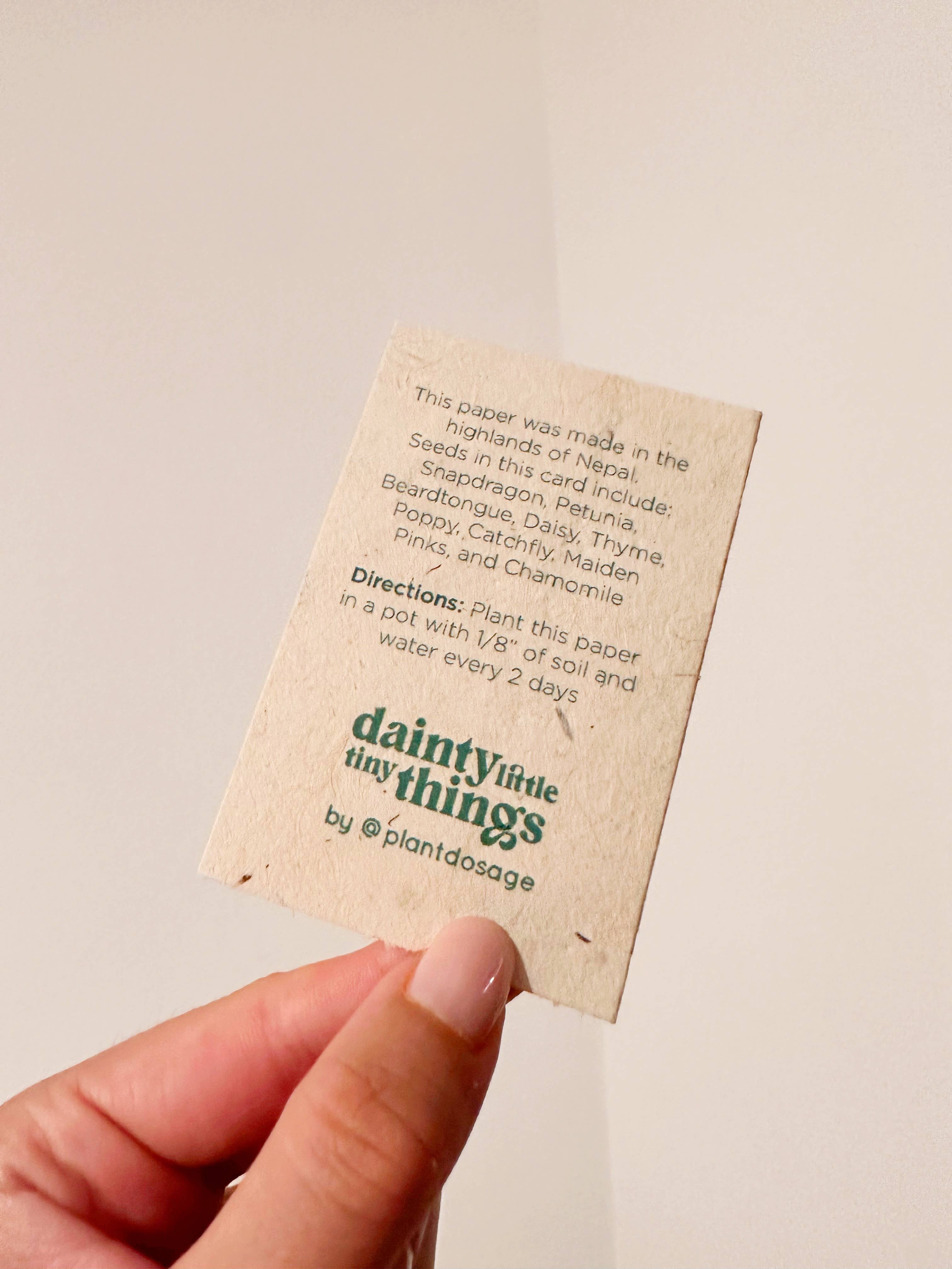 Dainty Little Tiny Things – Großhandel Grußkarten für den Alltag – Mini-Pflanzbare Grußkarten mit Samen6
