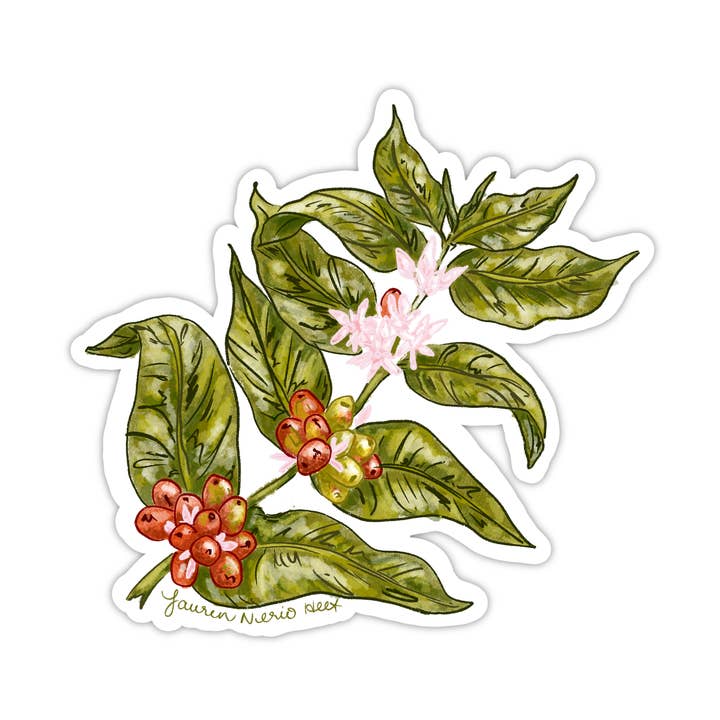 Hojas de Cafe, Coffee leaves, Vinyl Sticker for wholesale by Juniberry Art Co