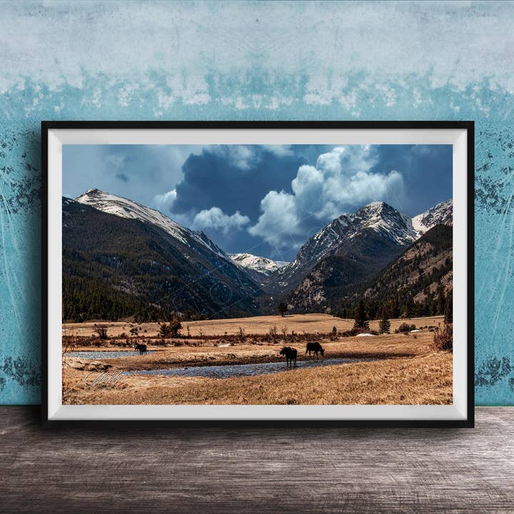 Moose Wall Art - Canvas - Winter Scene for wholesale by Clifton Haley Photography