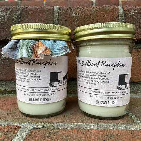 Nuts About Pumpkin 8 oz Candles for wholesale by By Candle Light