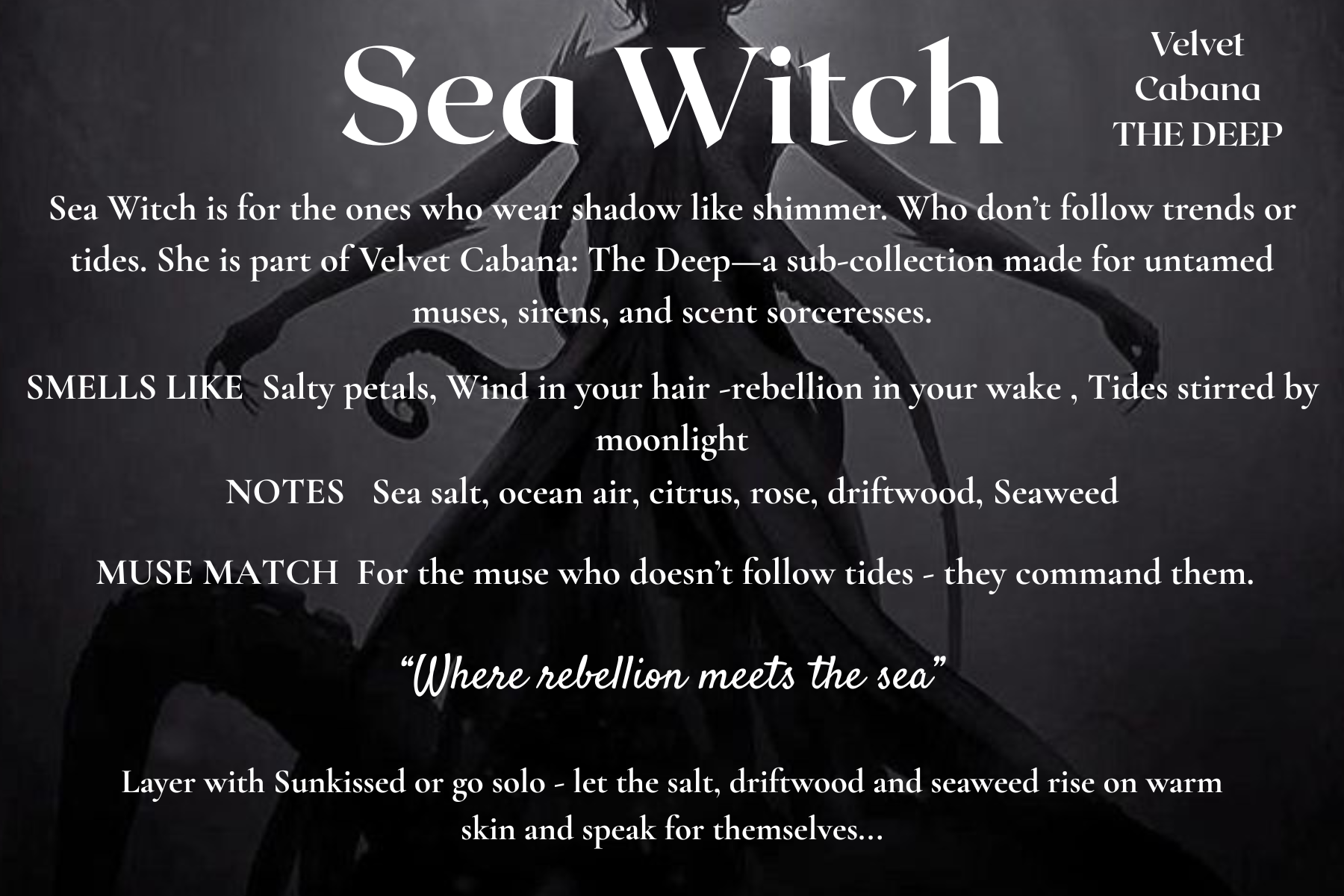 Memento Scents – Engroshandel Parfume/eau de toilette – Havheks Parfume - Saltet Blomstret med Drivtømmer &amp; Havluft2