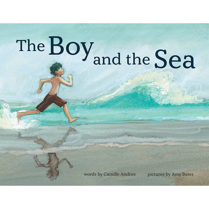 Abrams - Wholesale Preschool Book (3-5) - The Boy and the Sea