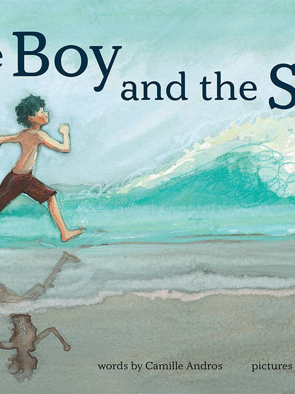 The Boy and the Sea for wholesale by Abrams