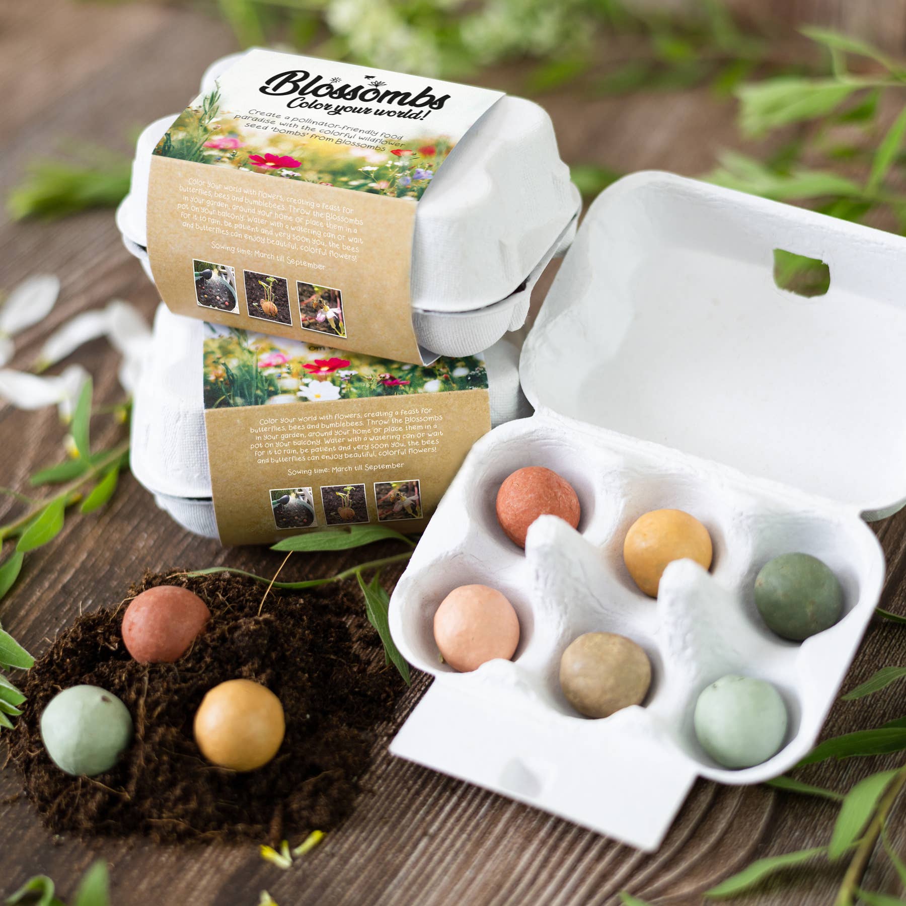 Buzzy Seeds Grow Gifts - Wholesale Plant Seeds - Egg Carton “Hello Spring” – 6 Wildflower Seed Bombs Gift1