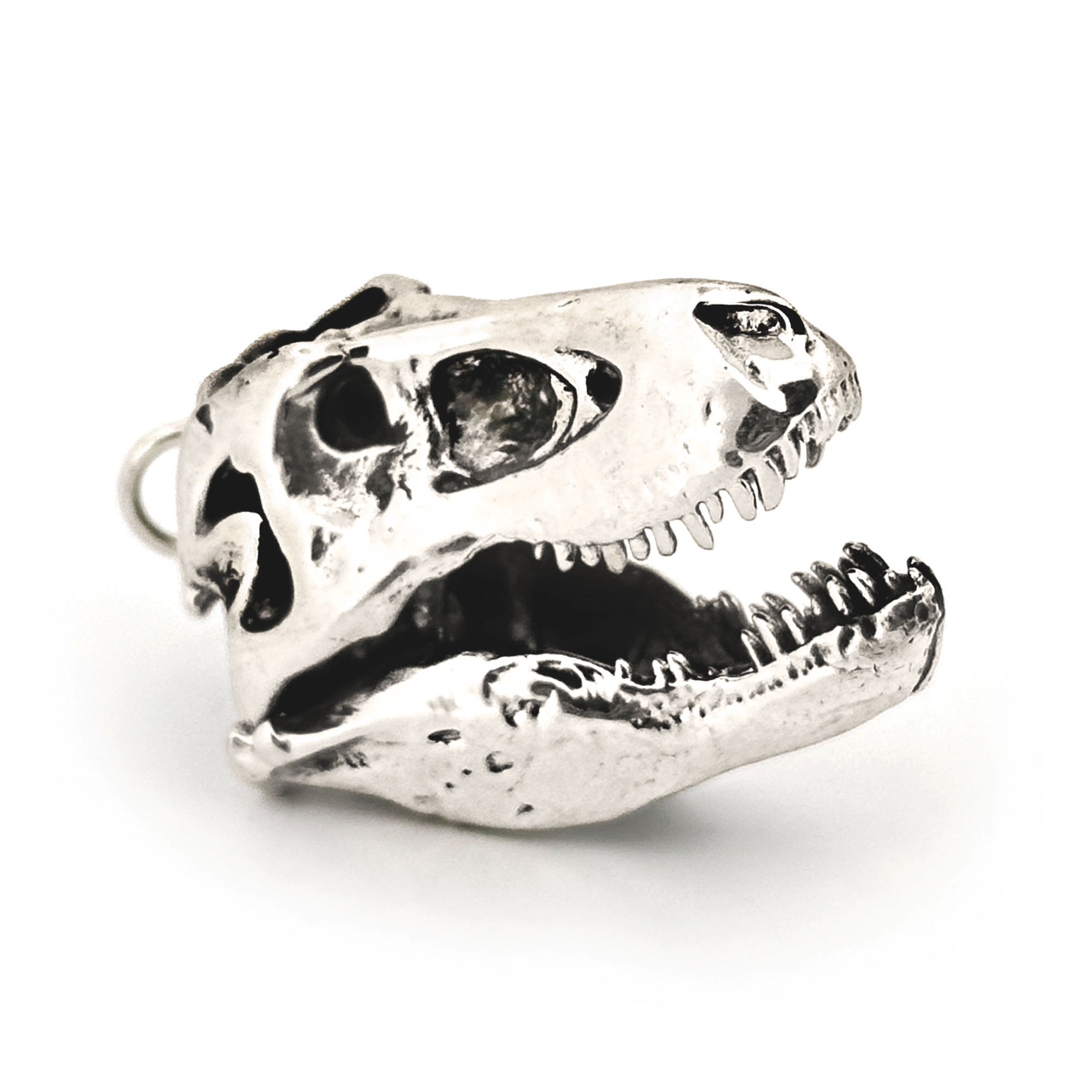 Fire & Bone - Wholesale Pendant/Charm Necklace - Tyrannosaurus Rex2
