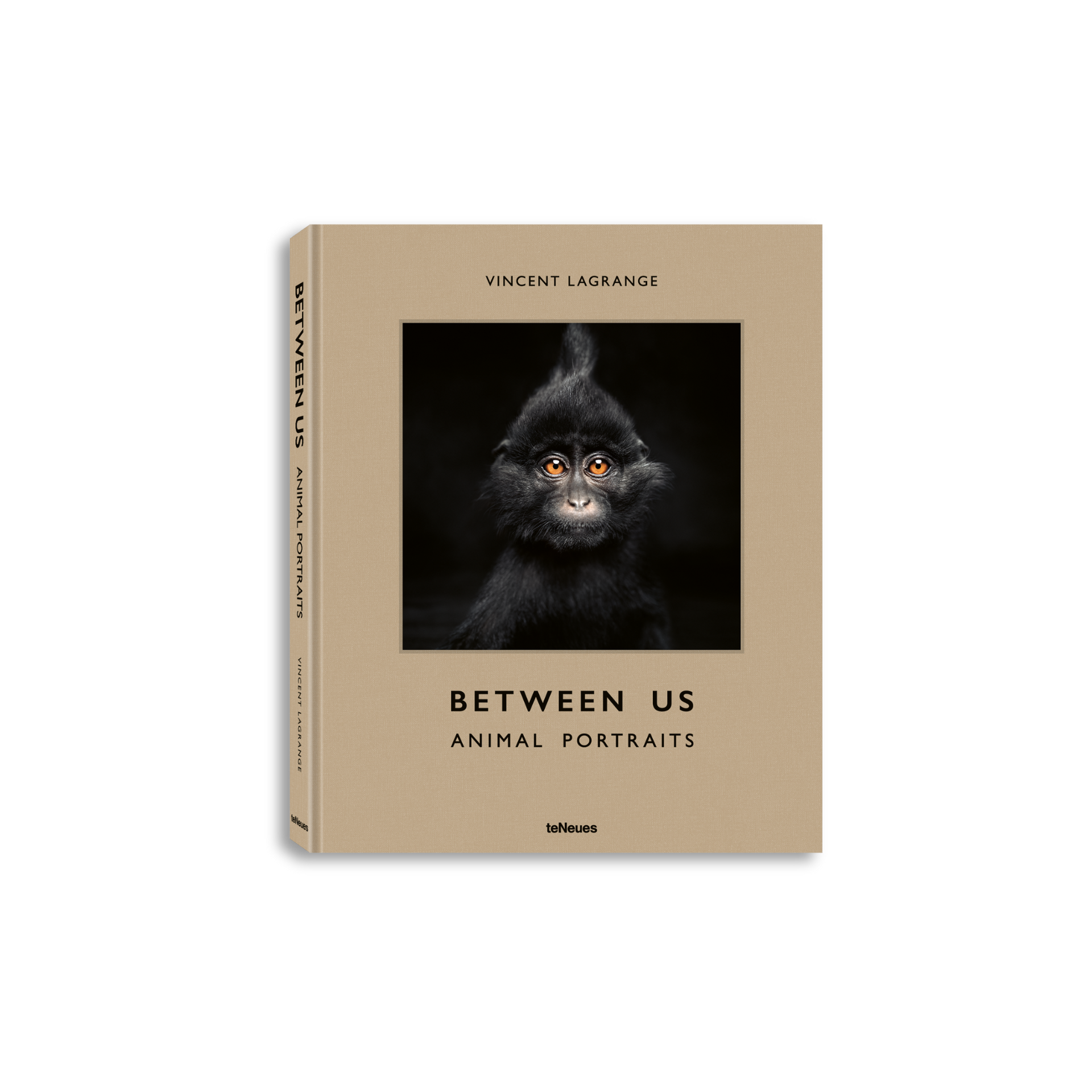 gestalten & teNeues - Wholesale Arts & Entertainment Book - Between Us0
