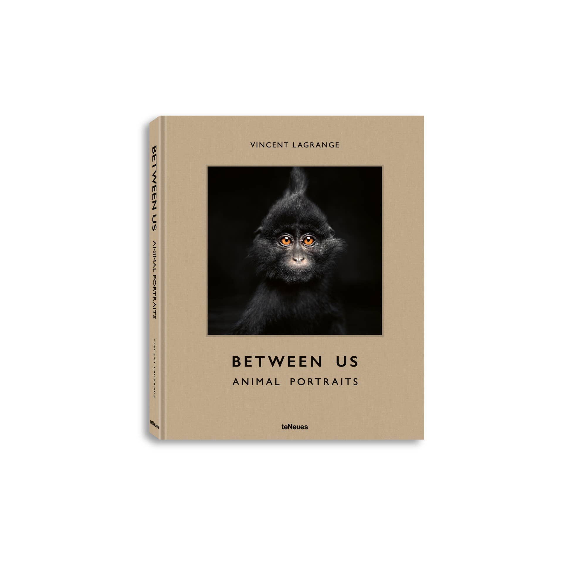 gestalten & teNeues - Wholesale Arts & Entertainment Book - Between Us