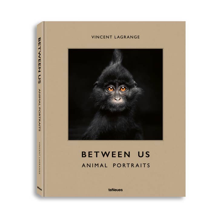 gestalten & teNeues - Wholesale Arts & Entertainment Book - Between Us0
