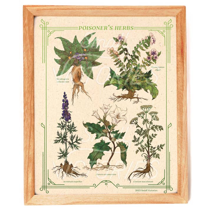 Small Victories - Wholesale Art Print - Poisoner's Herbs Print