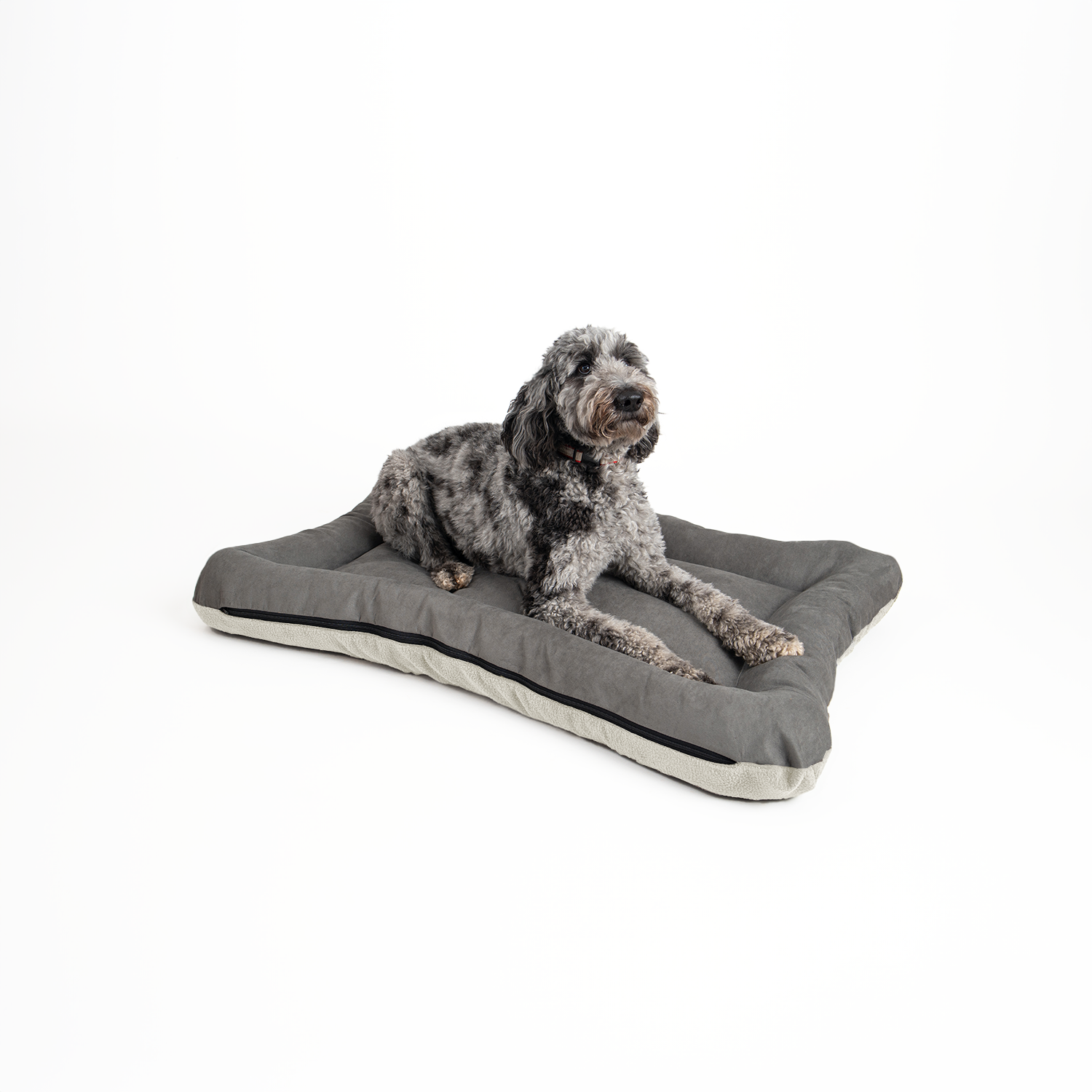 Snoozer Pet Products - Vendita all'ingrosso Letto - Cani - Cuccia per Cani All Day di Snoozer8
