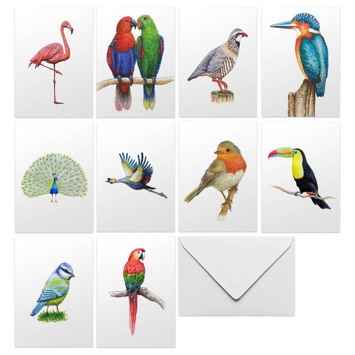 10 wenskaarten vogels met enveloppen voor wholesale door World of Mies