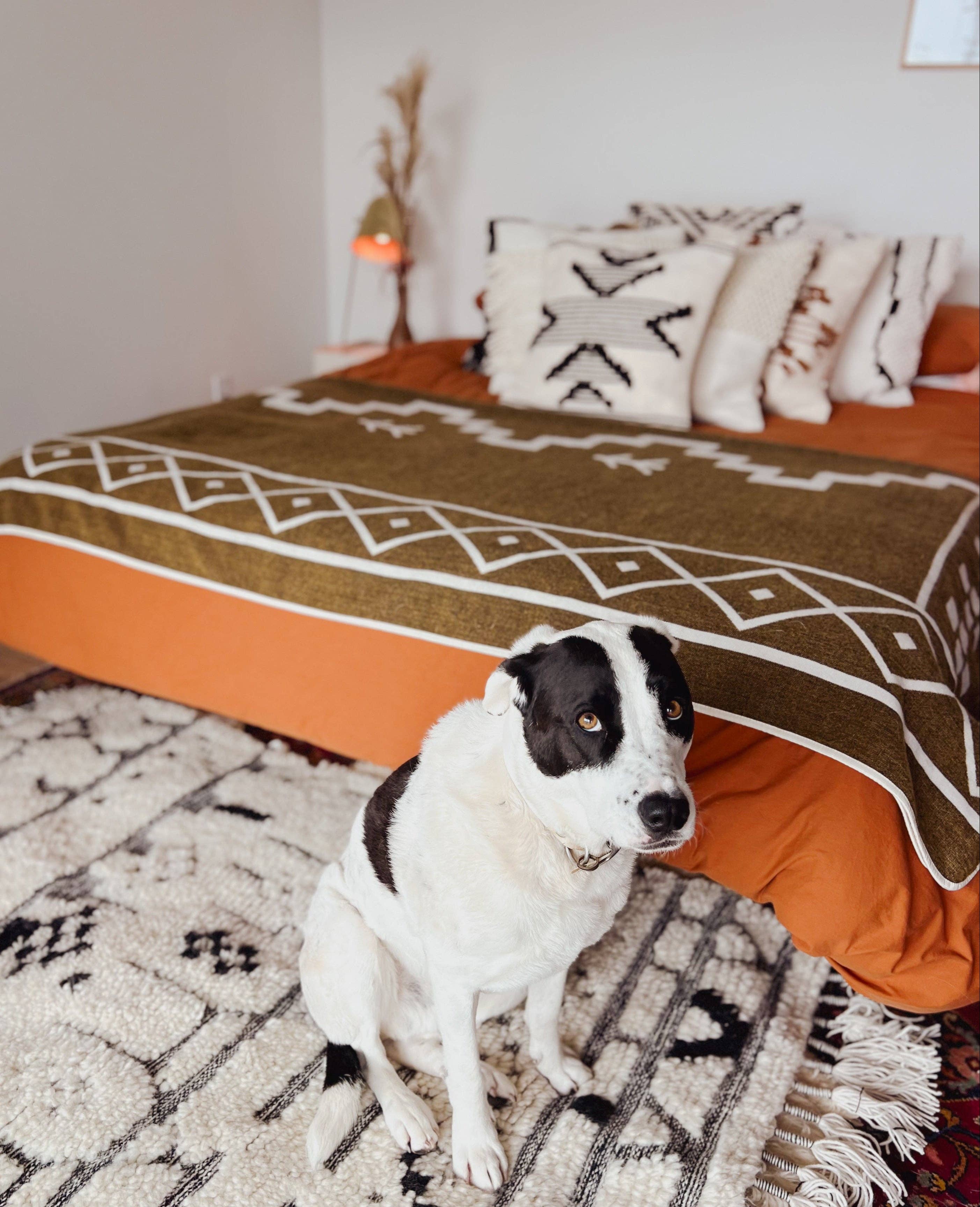 Wylde Brigade - Wholesale Throw Blanket - Isabela Zapotec Reversible Blanket15