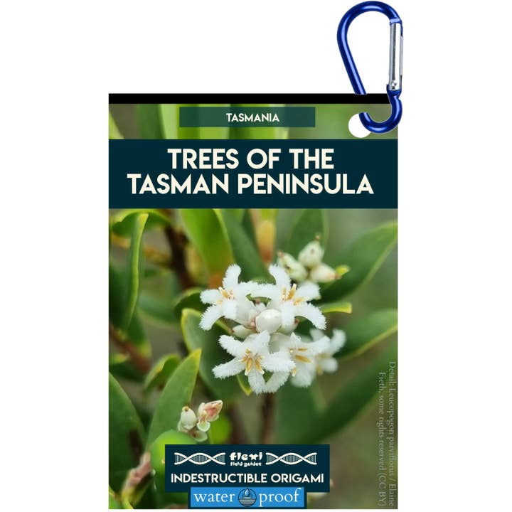 Arbres de la péninsule de Tasman - Origami indestructible pour la vente par Flexi Field Guides
