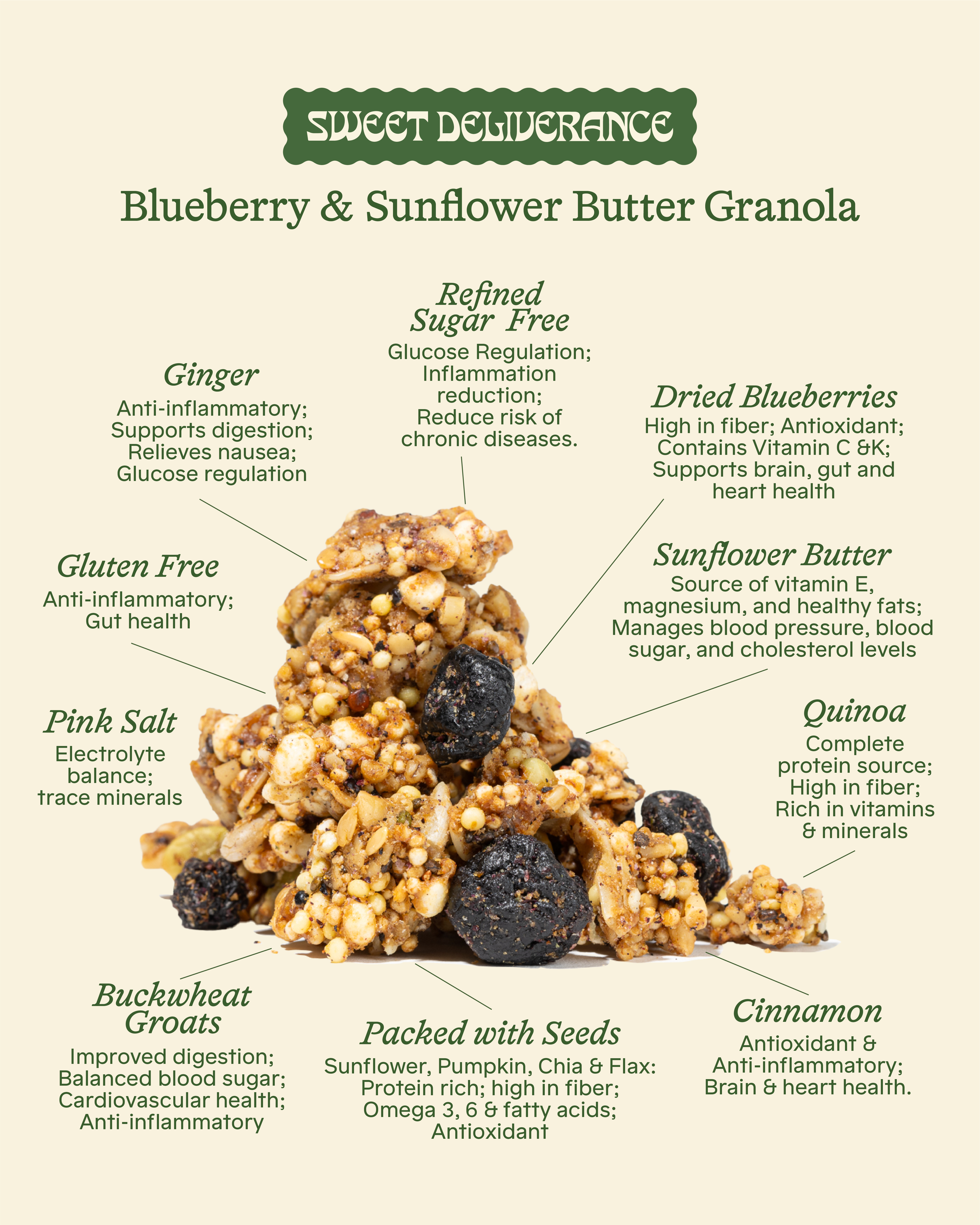 Sweet Deliverance - Wholesale Granola - Blueberry & Sunflower Butter Granola 1