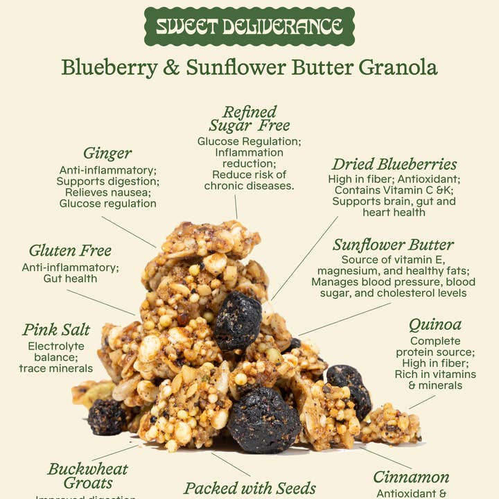 Sweet Deliverance - Wholesale Granola - Blueberry & Sunflower Butter Granola: Snack Pack1