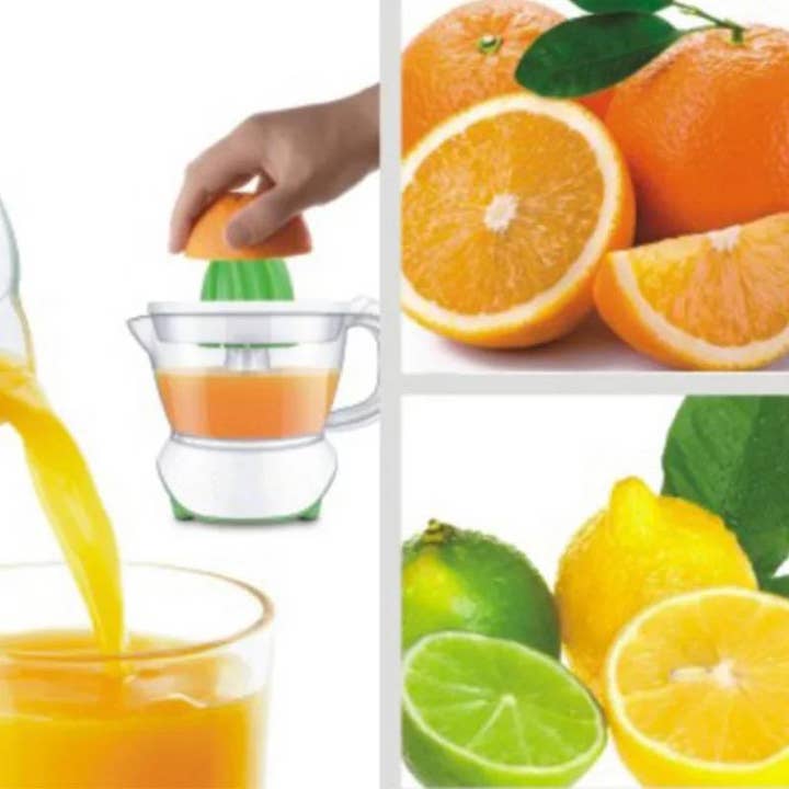 Royal Swiss - Wholesale Juicer - Electric Citrus Juicer2