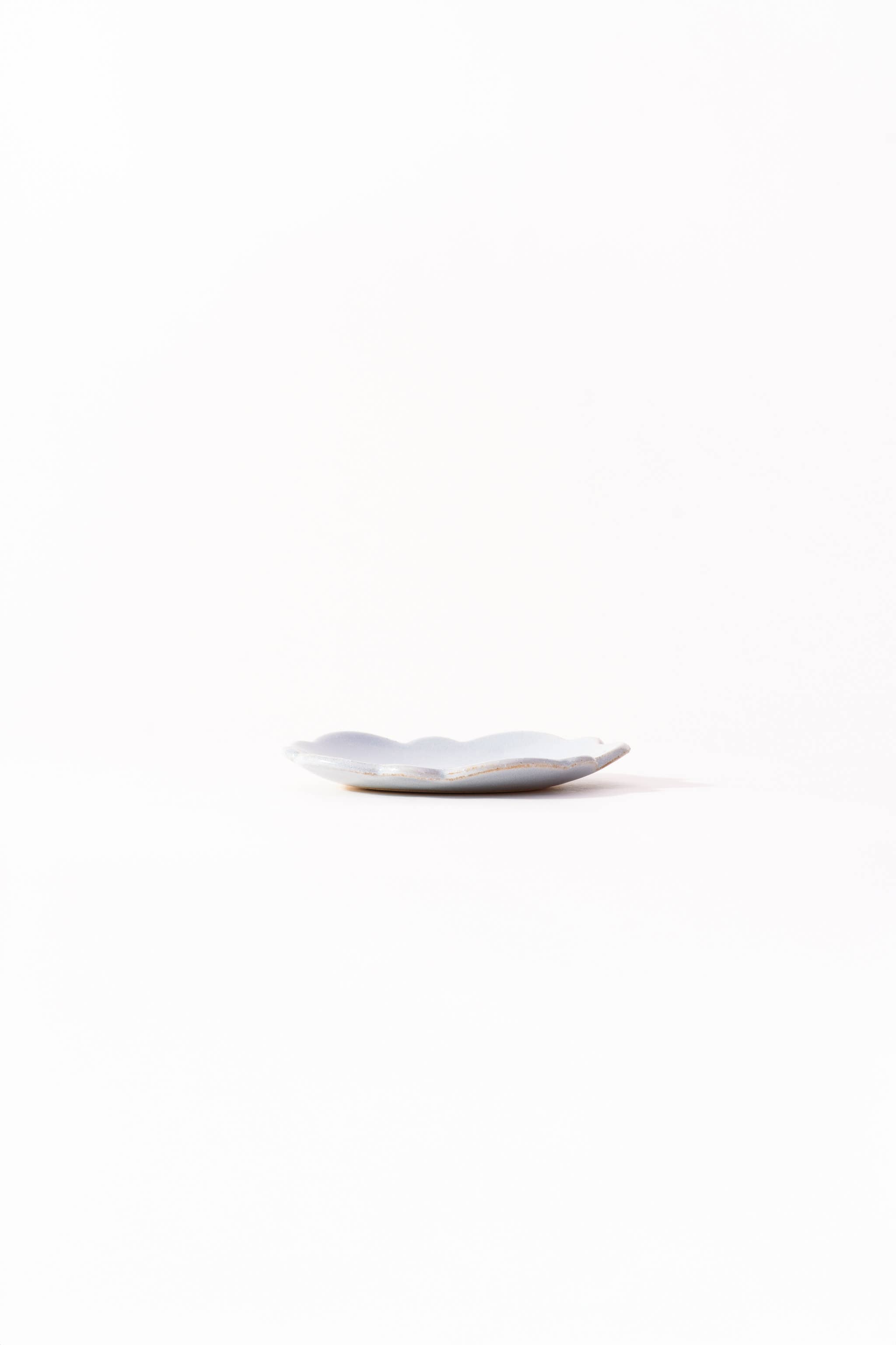 LAKOLE - Wholesale Decorative Plate/Dish/Bowl - Tatara-Zukuri Small Plate Morning Glory7