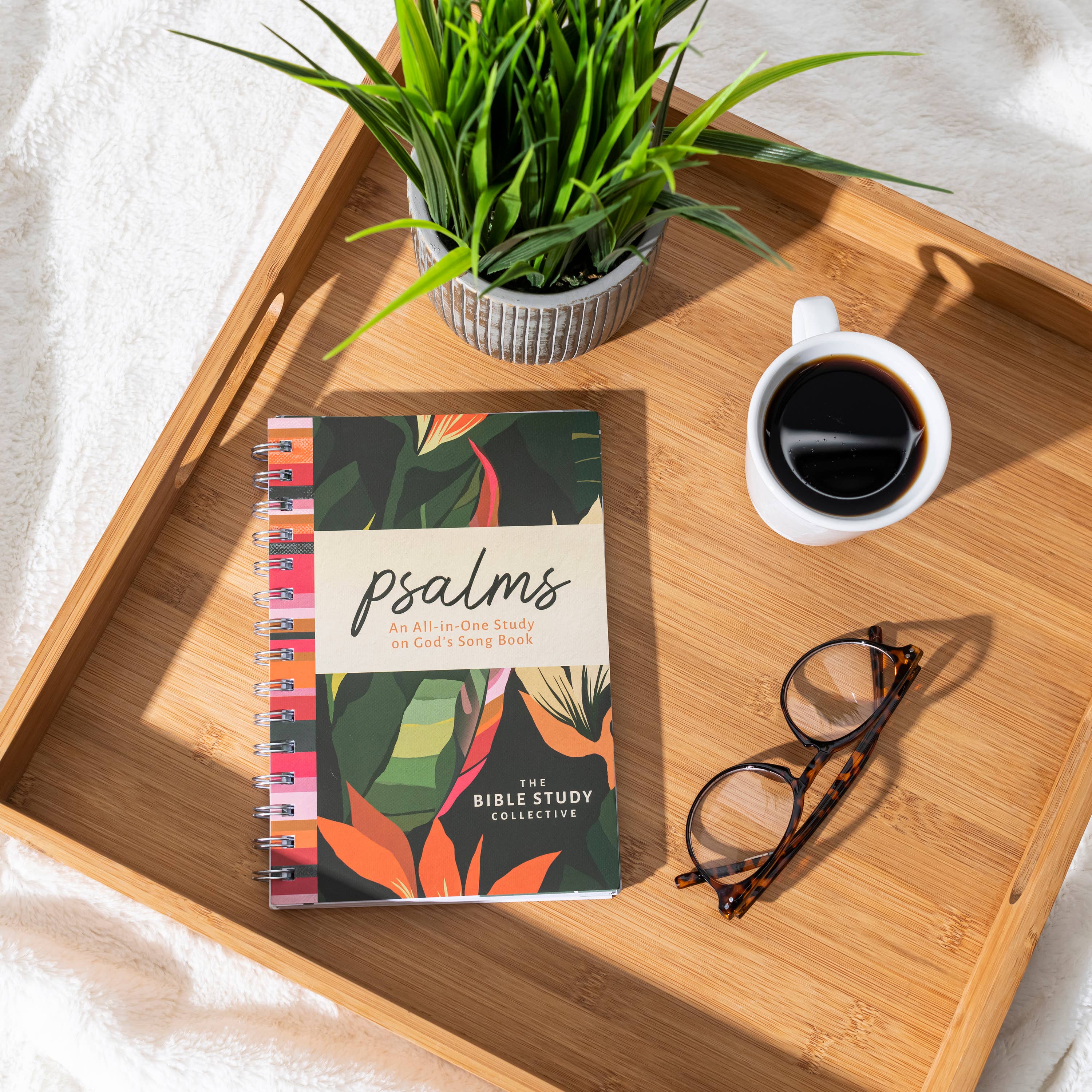 Barbour Publishing, Inc. - Wholesale Religion - Psalms : An All-in-One Study on God's Song Book