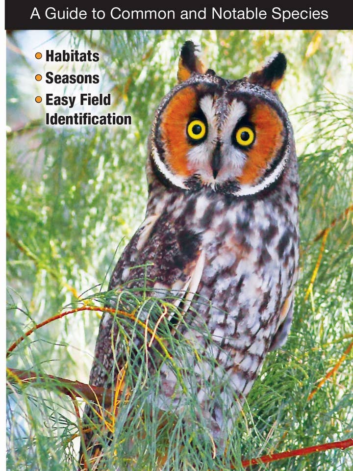 Birds of Idaho for wholesale by Quick Reference Publishing, Inc