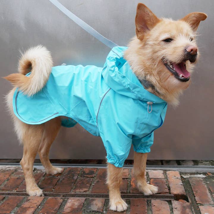 Blueberry Pet - Vendita all'ingrosso Impermeabile - Cani - Impermeabile riflettente per cani a 2 gambe, disponibile in 4 colori15