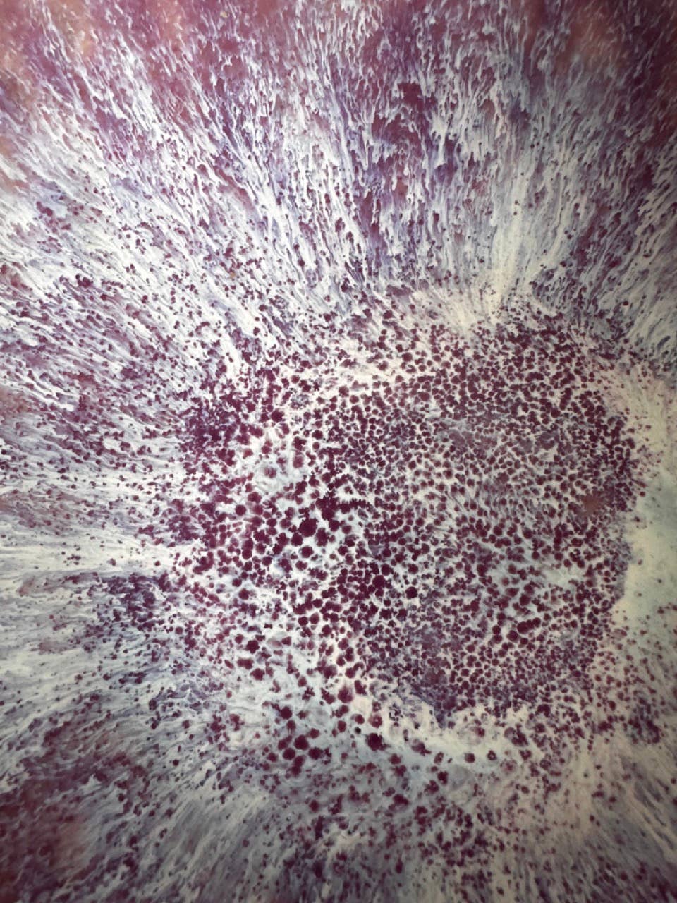 Athene Ceramics - Vendita all'ingrosso Ciotole/Piatti decorativi - Ciotola media organica - fatta a mano8