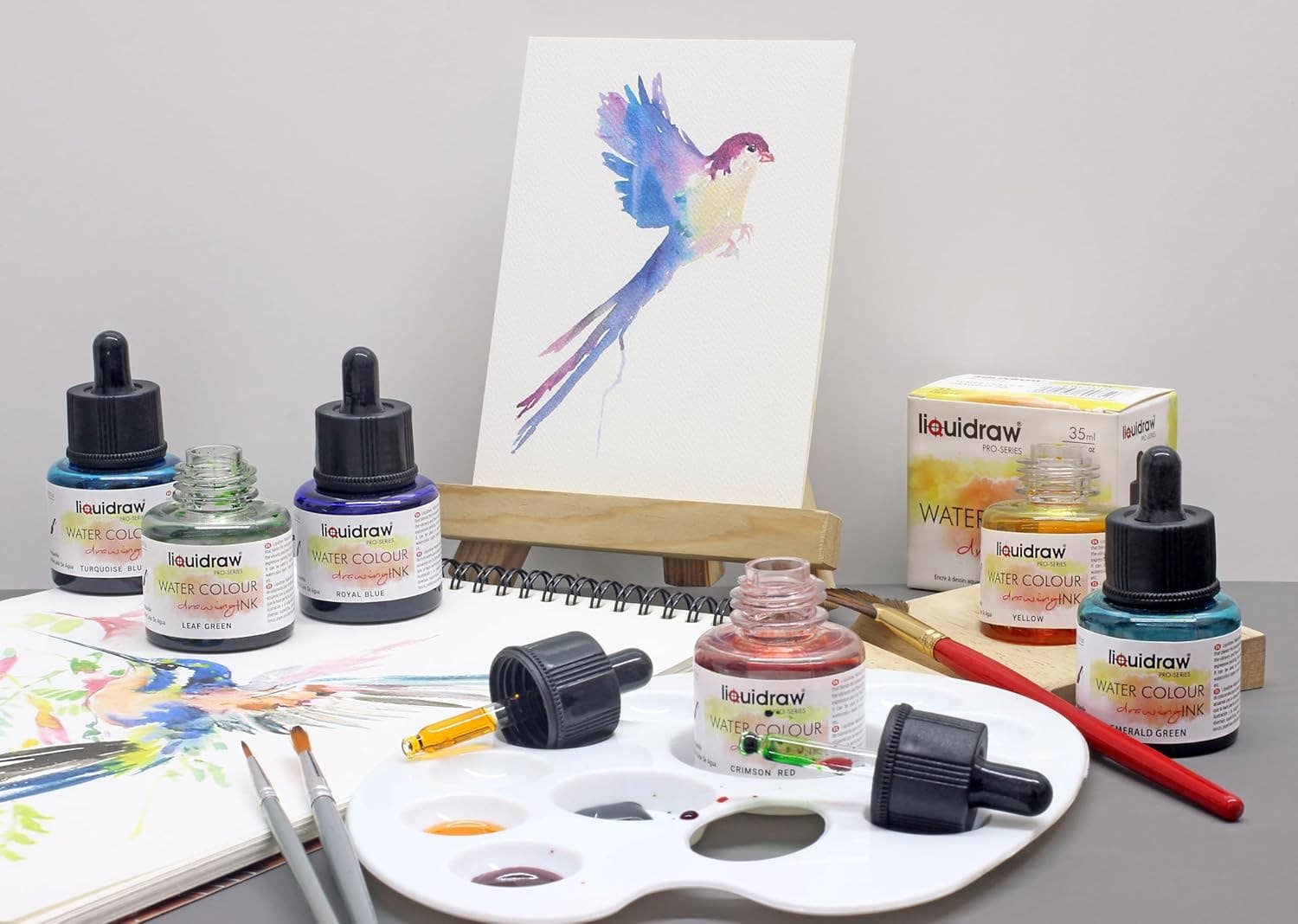 Liquidraw – wholesale Ink pad – Liquidraw Watercolour Drawing Ink Set of 10 Assorted Colours | 35ml Bottles with Ink Dropper | Water Colour Inks for Art5