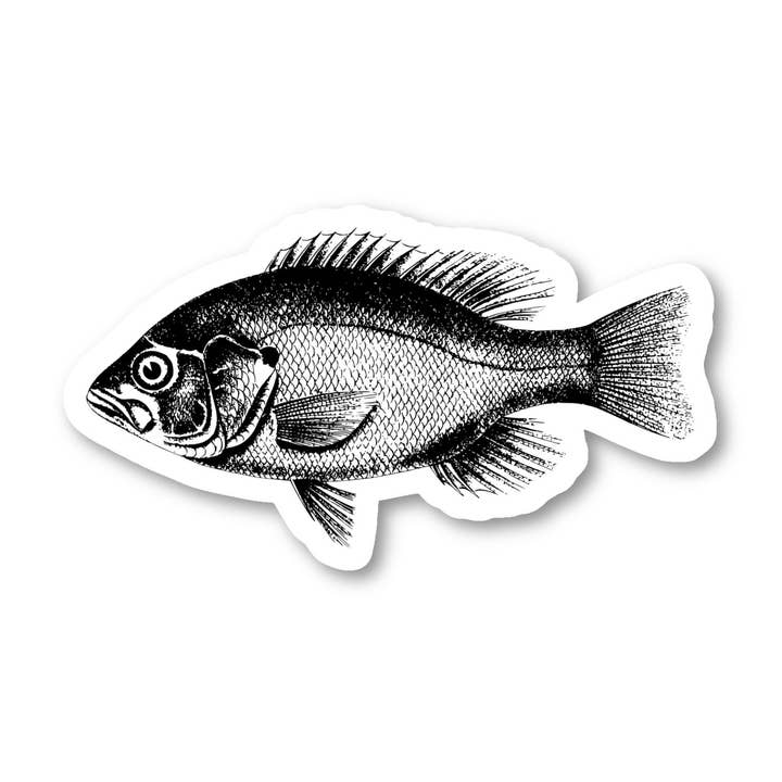 Adesivi per laptop e telefono con pesce basso 3 pezzi - Set di adesivi in vinile da 2,5, 3 e 4 pollici - Adesivi per laptop e telefono per laptop, telefono, bottiglia d'acqua, auto e altro (3 pezzi) per la vendita all'ingrosso da parte di FunPopStickers