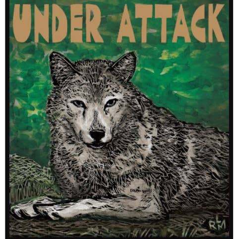 Ricardo Levins Morales Art Studio - Wholesale Stationery/Notecard Set - Conscious Critters Card Pack - Set of 1211