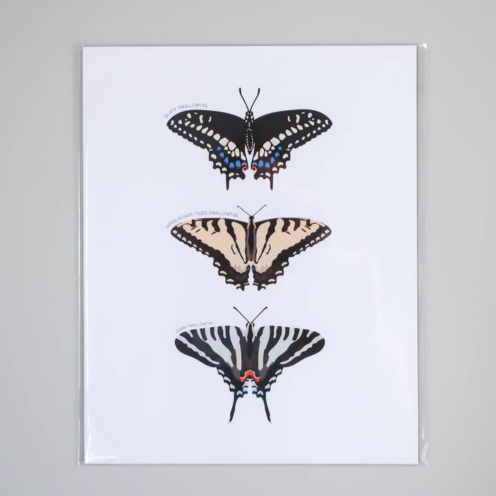 Butterfly Trio - Pædagogisk naturkunsttryk for engroshandel hos Beehive 95 Designs