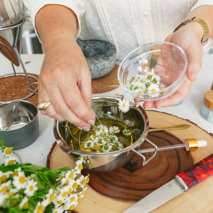 Forager - Wholesale Healing Salve/Balm/Cream - Daisy Balm6