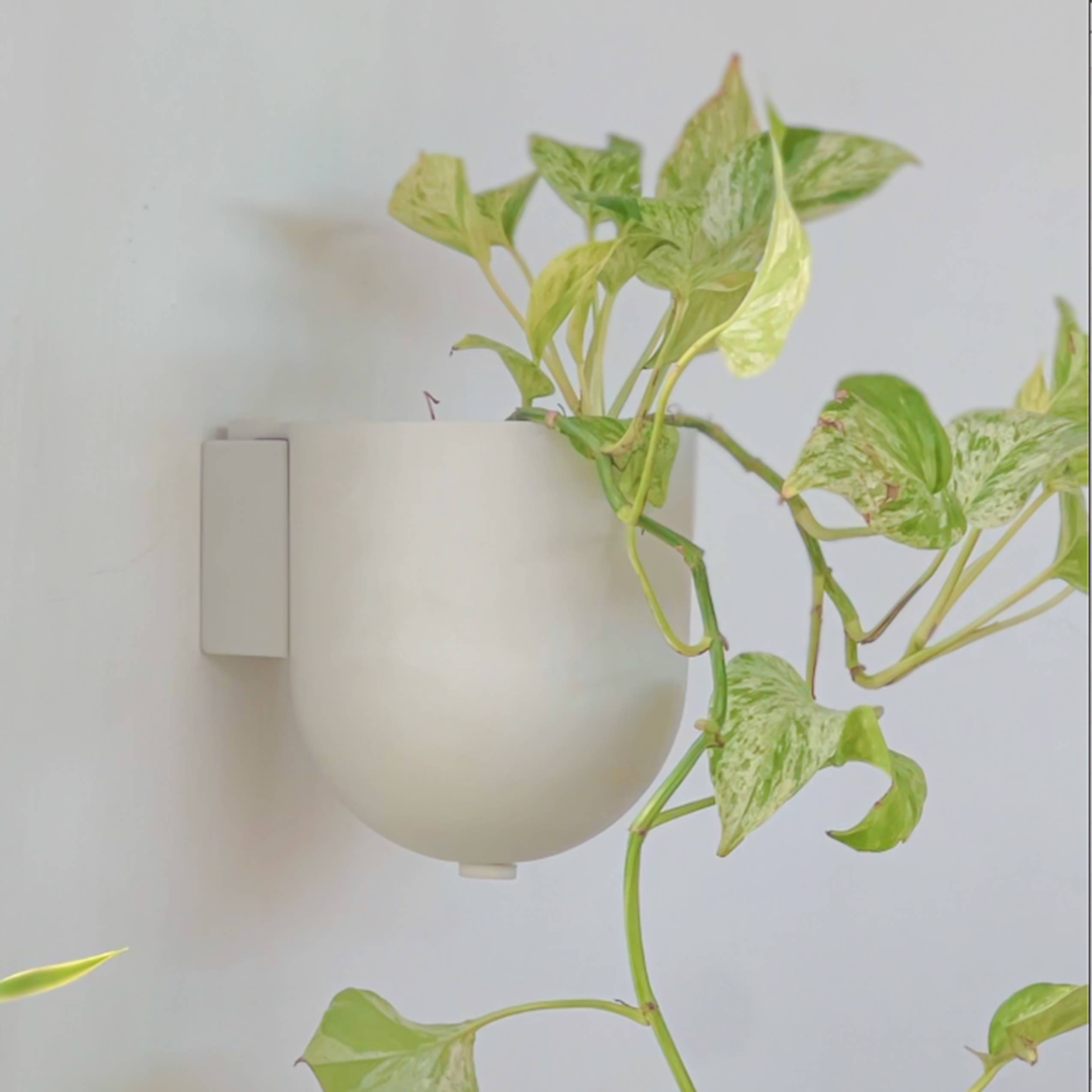Kanso Designs - Wholesale Wall Planter - Wall Mounted Recycled Plastic Planter Pots | 5.5" and 7"6