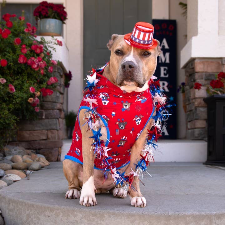 Sploots & Sparklers Muscle Tee - Red for wholesale by Pittie Clothing Co.