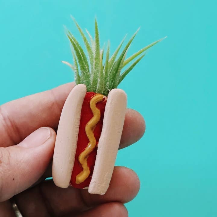 Hotdog Mini Planter and Plant and other Purchase Wholesale hotdog. Free Returns & Net 60 Terms on Faire trending on Faire.