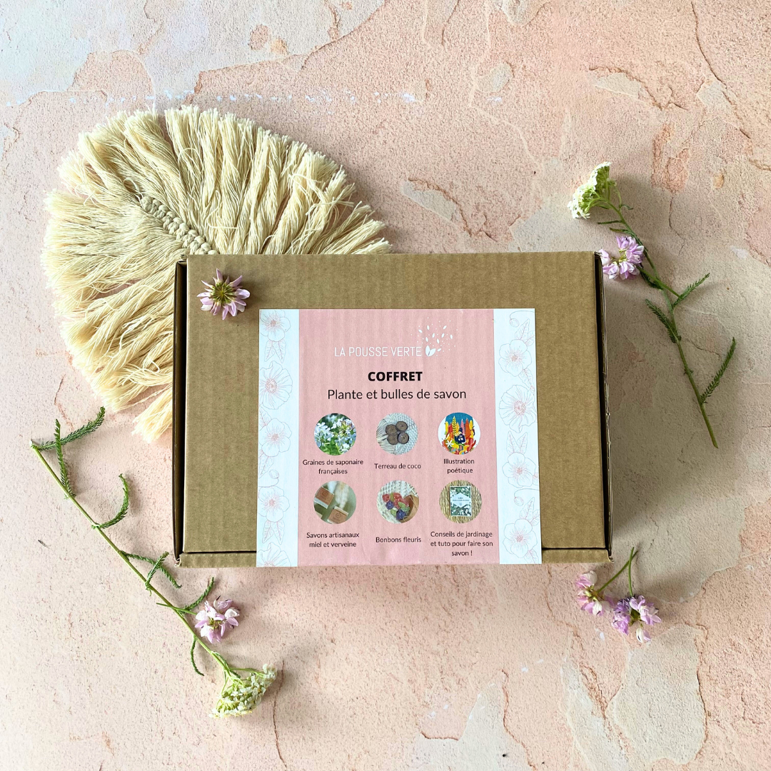 La Pousse Verte - Wholesale Gift Box - "Plant & Soap Bubbles" gift set1