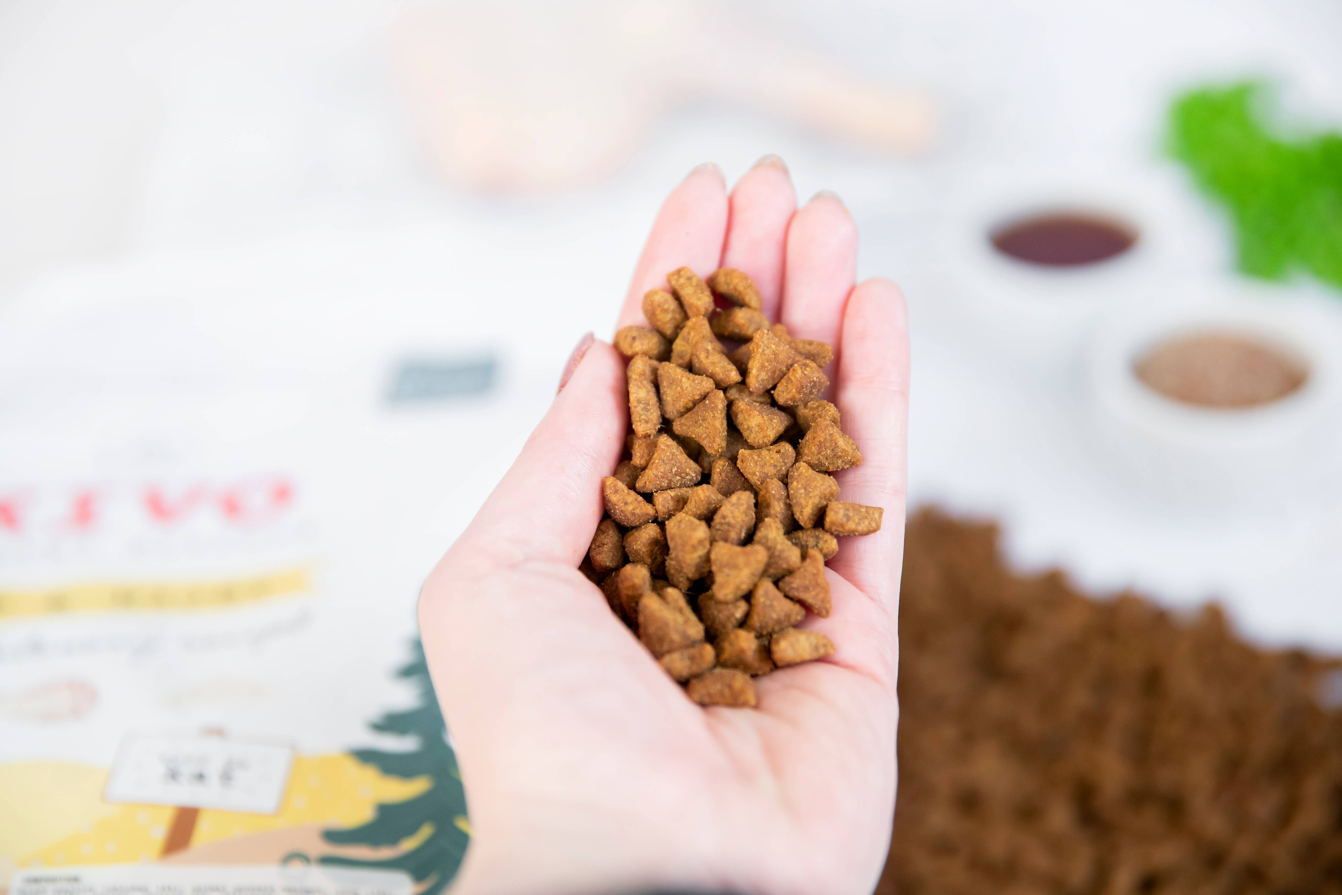 Kivo Petfood - Vendita all'ingrosso Cibo - Gatti - Pollo e riso - 5 kg - Gatto senior/sterilizzato1