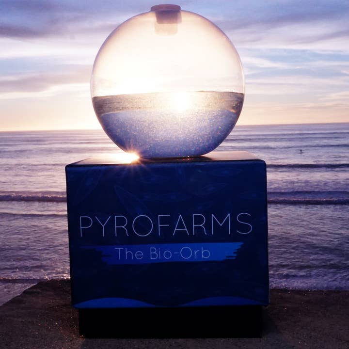 PyroFarms - Venta al por mayor Artículo decorativo de mesa - Opción de regalo Bio-Orb bioluminiscente7