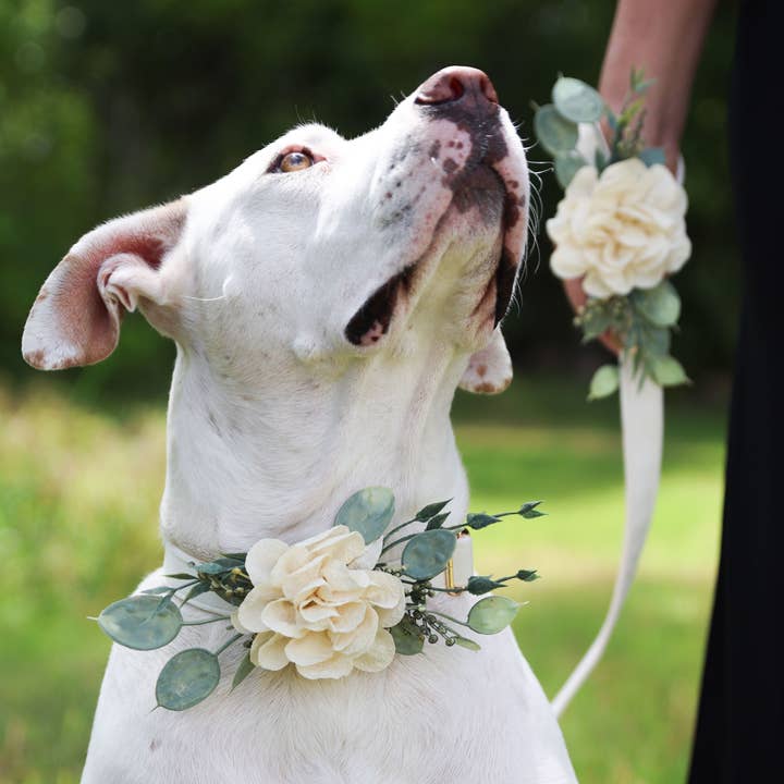 Indy Supply Co - Vente Bandana – chien - Décoration florale pour collier de mariage pour chien | Ring Bearer Dog 0