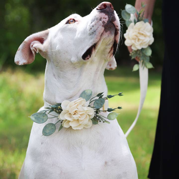 Indy Supply Co - Venta al por mayor Bandana - Perros - Collar de boda con decoración floral para perros | Ring Bearer Dog