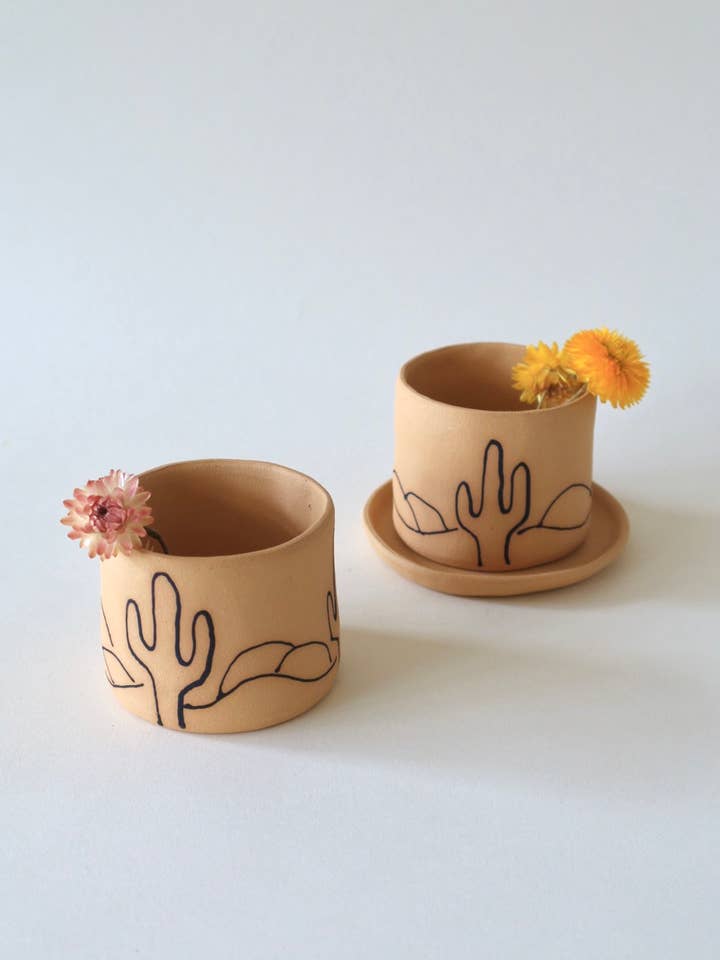 Desert Cacti Planter for wholesale by Melville Ceramics