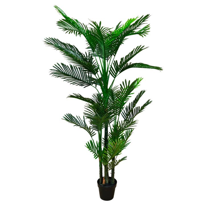 PTT134 Potted Mini Palm Tree 6' PK1 for wholesale by Myrians Home Decor