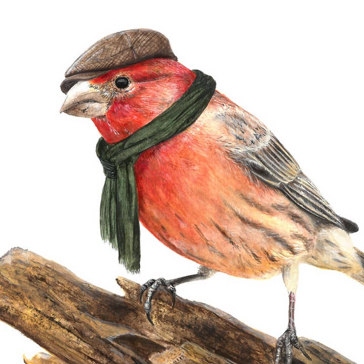 Print No.19 - "House Finch with Flat Cap for wholesale by Birds with Hats