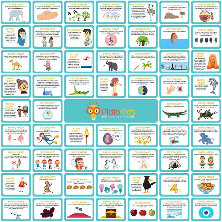 Educational Lunch Box Notes for Kids Pack of 60 Series 3 for wholesale by Plato Kids