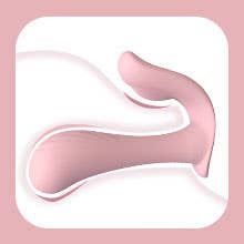 Tracy’s Dog - Wholesale Sex Toy - Tracy's Dog Wearable Panty Vibrator pink3