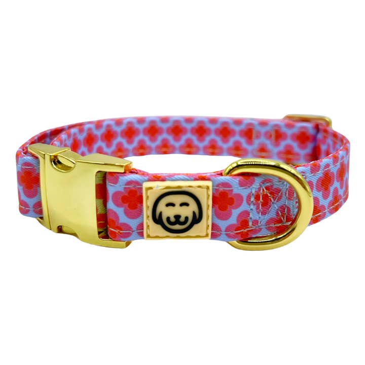 Venezia - Dog Collar for wholesale by Molly & Co.