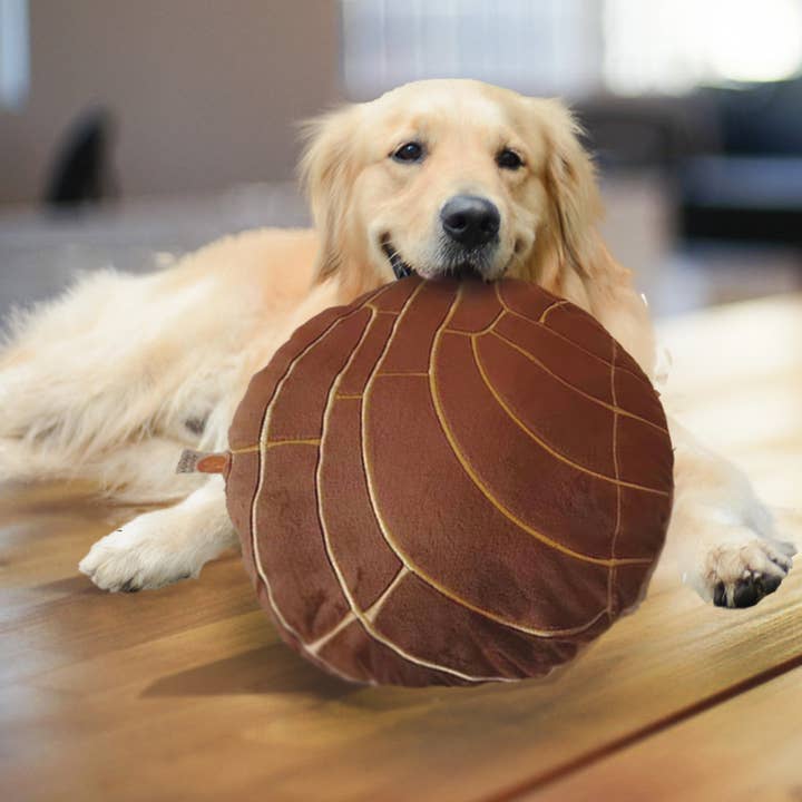 Abound Lifestyle - Wholesale Throw/Decorative Pillow - Concha Bread Decorative Throw Pillow13