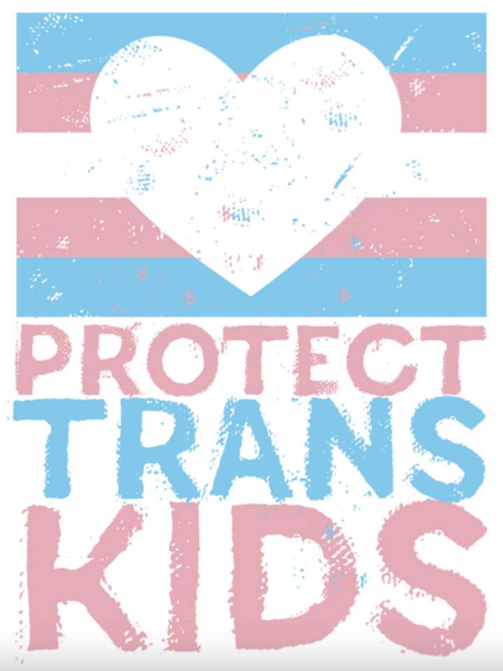 Protect Trans Kids Sticker for wholesale by Pride Socks