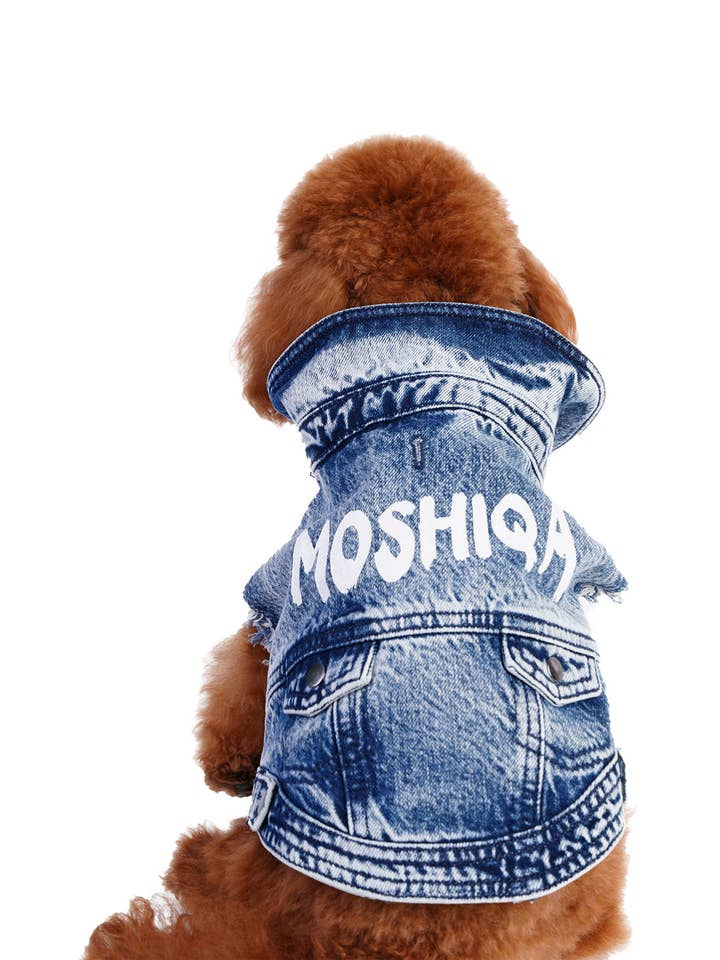Moshiqa Denim Hund för wholesale av MOSHIQA