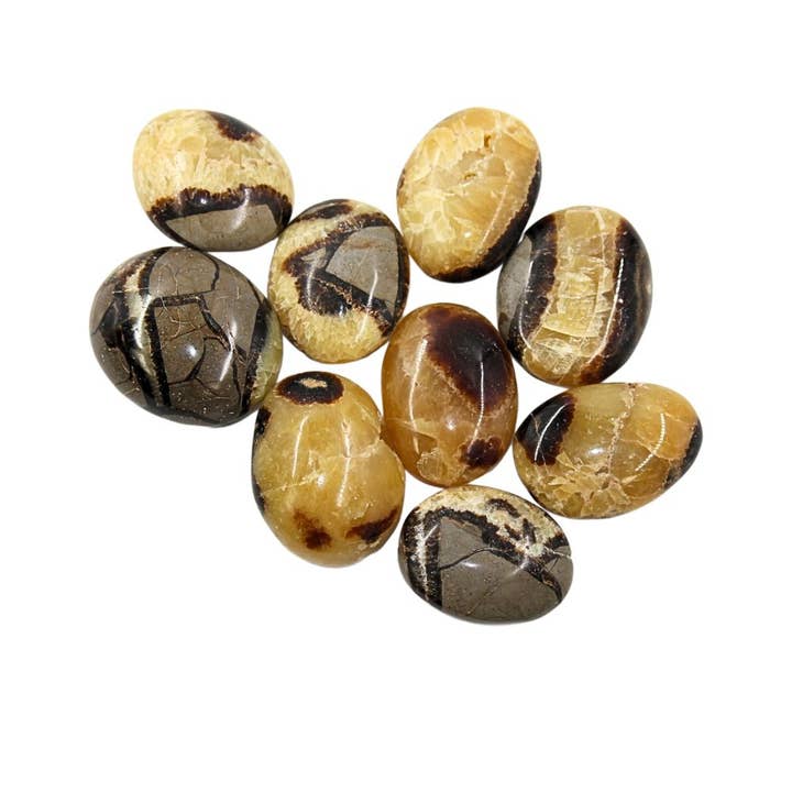 Palm Stones - Septarian, 2lb for wholesale by Earths Elements Wholesale