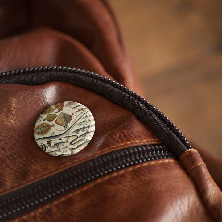 NatureCuts - Wholesale Reversspeld/knoop - Ocean Fish speldknop, sleutelhanger voor oceaanvissen, vismagneet6