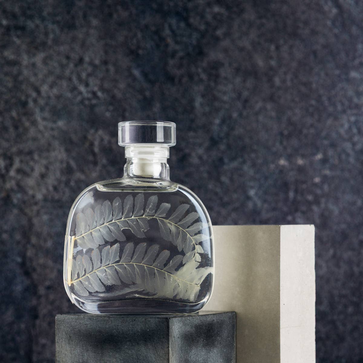 Theophile Berthon - Wholesale Live Plant - The Herbarium Capsule - White Leather Fern - Submerged Plant3